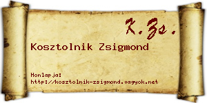 Kosztolnik Zsigmond névjegykártya